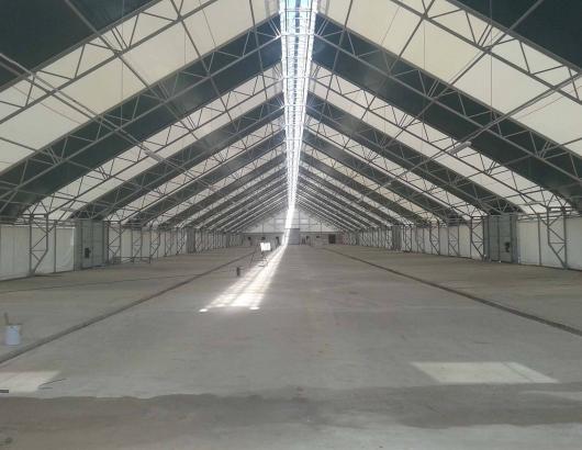 Молочно-товарная ферма